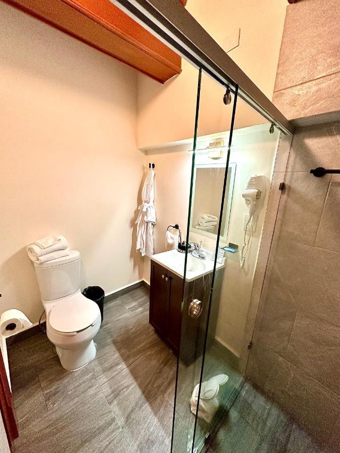Suites Del Jardin Principal 과나후아토 외부 사진